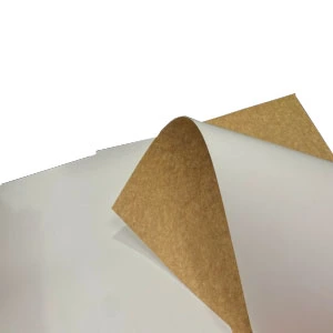 The Advantages of Coated Printing Paper