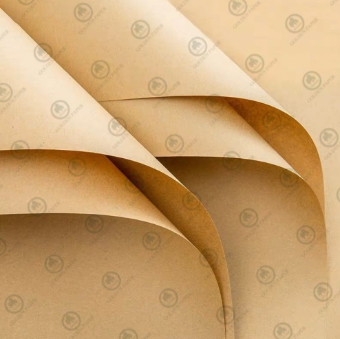 golden-paper-launches-new-eco-friendly-kraft-paper-line-leading-the-way-in-sustainable-packaging-solutions.jpg